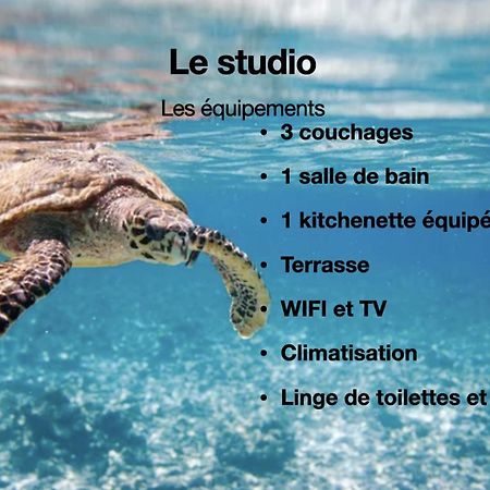Studio Hippocampe P&V 圣吕斯 外观 照片