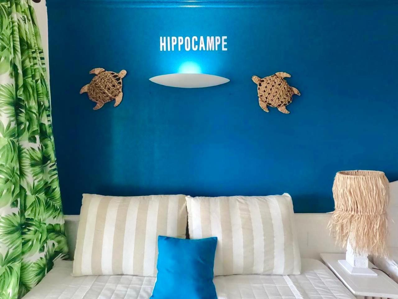 Studio Hippocampe P&V 圣吕斯 外观 照片